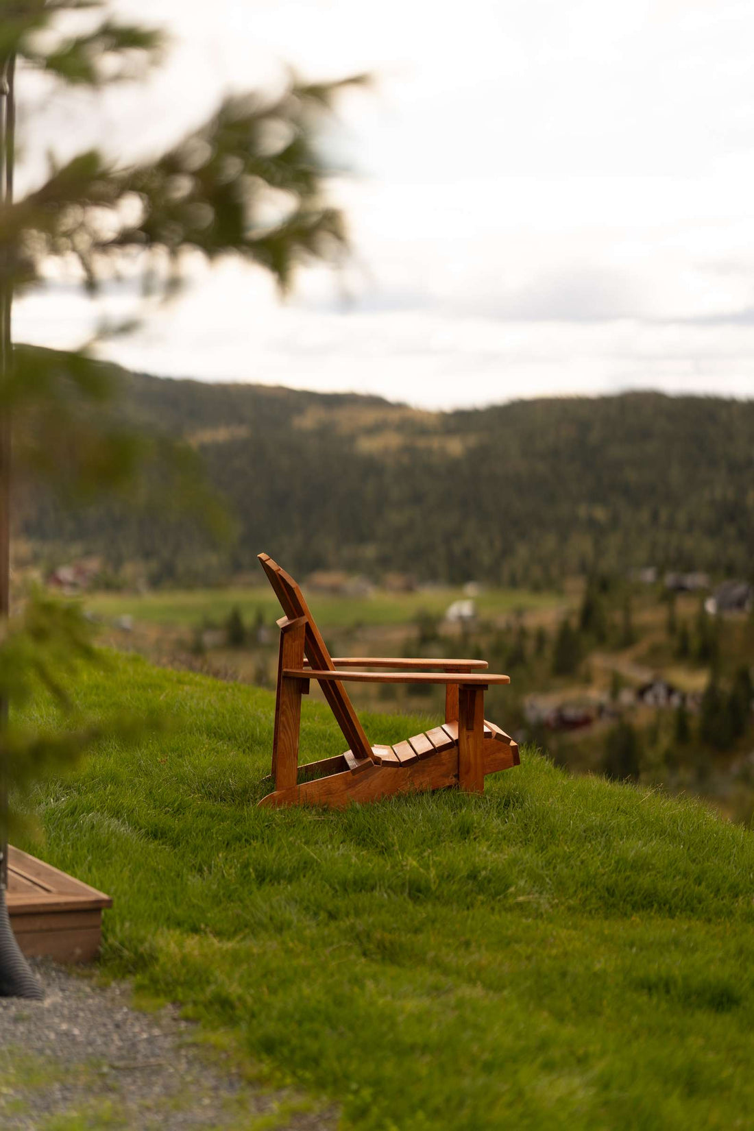 Hva betyr sertifiseringene PEFC™ og FSC®?