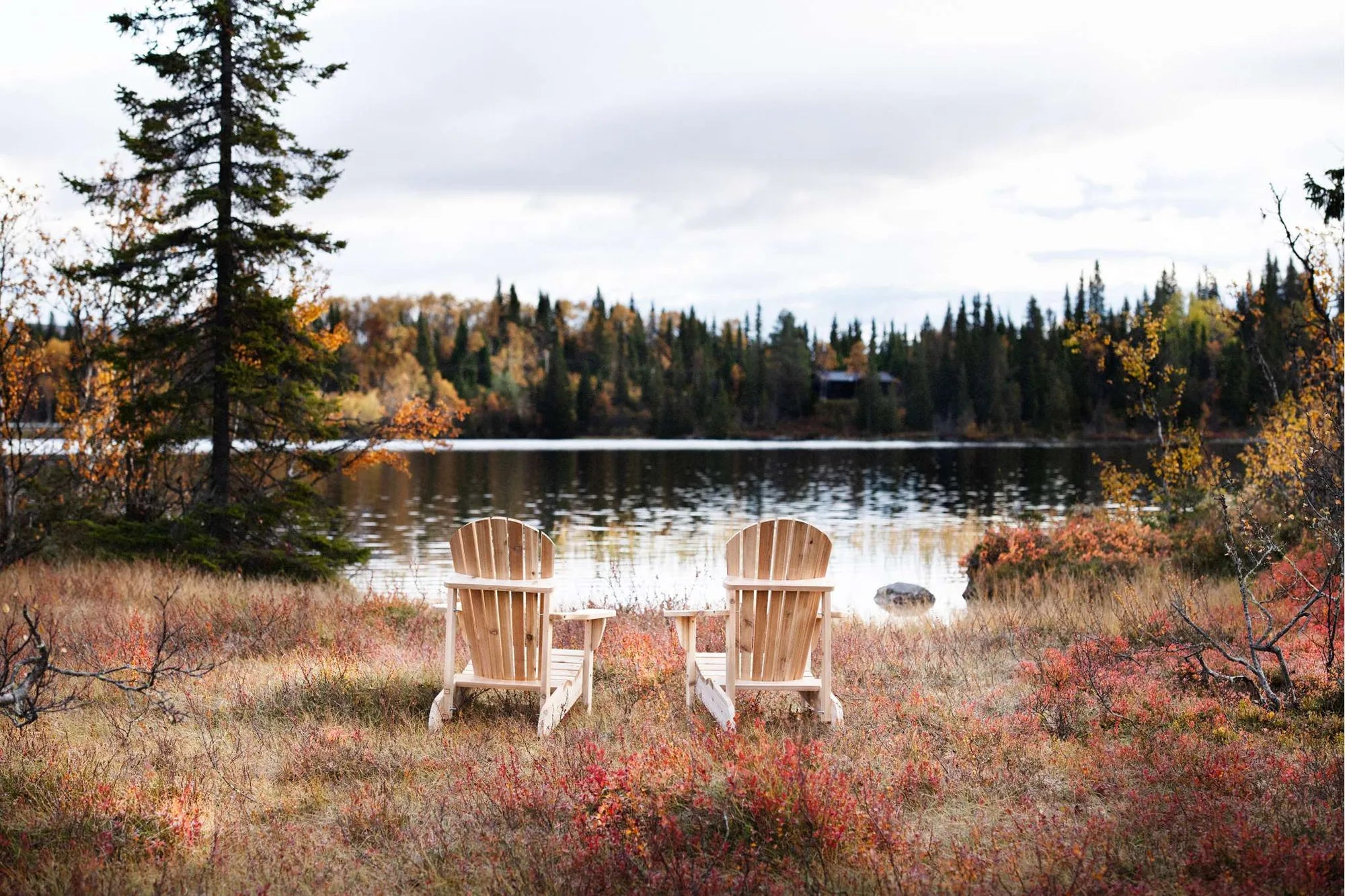 CO-2535-env-autumn-6